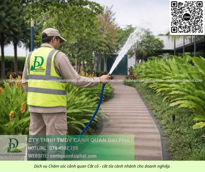 DỊCH VỤ CẮT CỎ – CƯA CÂY BÌNH DƯƠNG | NHANH CHÓNG – AN TOÀN – CHUYÊN NGHIỆP