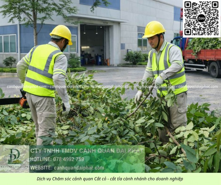 Dịch vụ cưa cây – cắt cỏ Đồng Nai | Cưa hạ cây, cắt cỏ, vệ sinh cảnh quan chuyên nghiệp