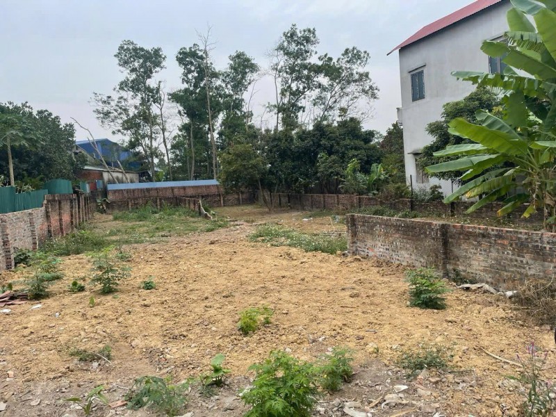 CHÍNH CHỦ CẦN BÁN ĐẤT ĐẸP THANH TRÍ – MINH PHÚ – SÓC SƠN, HÀ NỘI NHỈNH 6 TỶ
