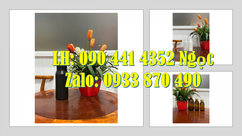 Lọ 50g đựng tinh bột nghệ, hủ nhựa 100g đựng gia vị nêm sẵn, hủ nhựa 250g đựng mứt 