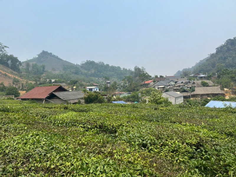 BÁN 5.000M² ĐẤT – 400M² THỔ CƯ PHƯỜNG VÂN SƠN, MỘC CHÂU