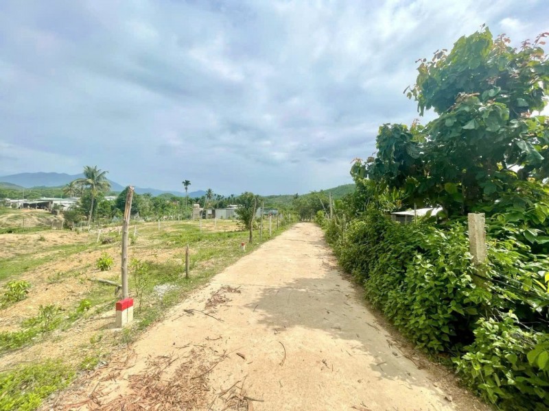 ĐẤT ĐẸP - GIÁ TỐT CHÍNH CHỦ CẦN BÁN ĐẤT NỀN  VỊ TRÍ ĐẮC ĐỊA  TẠI Xã Khánh Phú, Khánh Vĩnh, Khánh Hòa