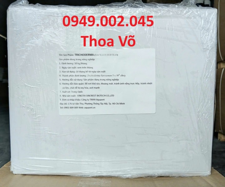 TRICHODERMA – Chế Phẩm Vi Sinh Bảo Vệ Đất & Rễ Cây, Phòng Nấm Bệnh