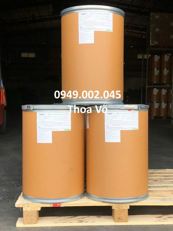 BETA-GLUCANASE – Enzyme Tiêu Hóa Tăng Hấp Thu Cho Thủy Sản & Chăn Nuôi