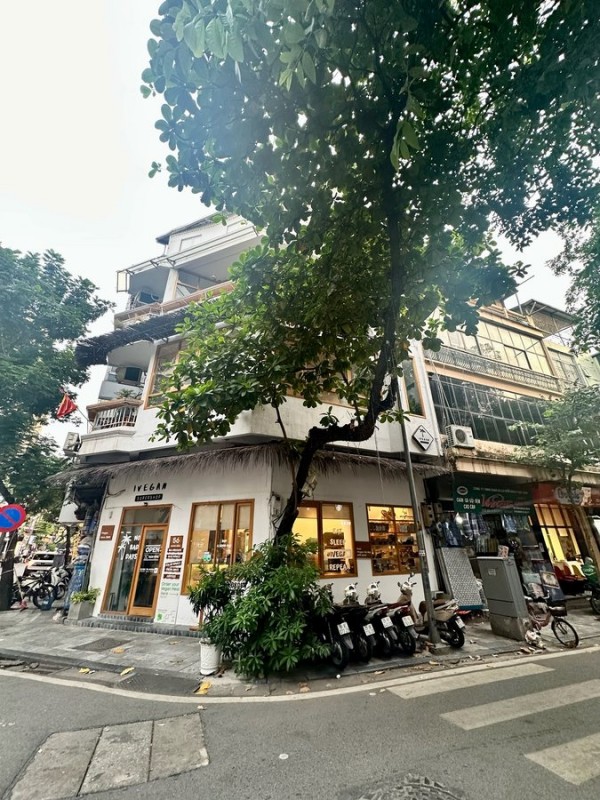 Bán Nhà Phố Vọng, Hai Bà Trưng 150m2 Lô Góc MT 20m Vỉ Hè Kinh Doanh 52.8 tỷ