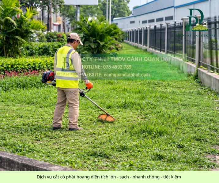 Dịch vụ cắt cỏ Tam Phước Đồng Nai uy tín