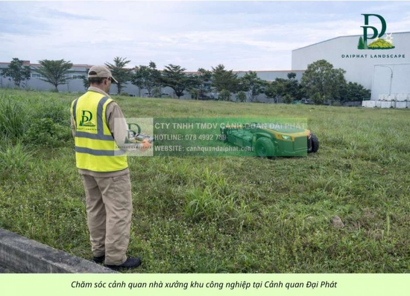 CHĂM SÓC CÂY XANH – THẢM CỎ CÔNG TY, NHÀ XƯỞNG TẠI ĐỒNG NAI
