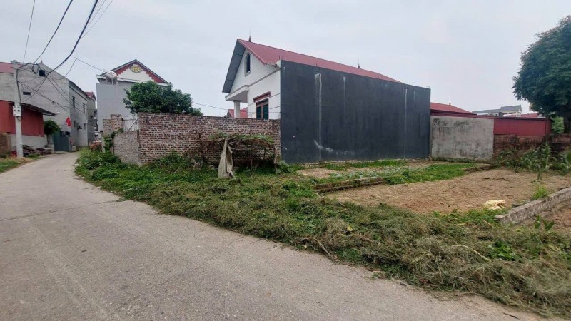 Đất Sóc Sơn, 73m2, mt4.3m, 2.x tỷ, Hiền Ninh, ô tô, thông, gần phố.