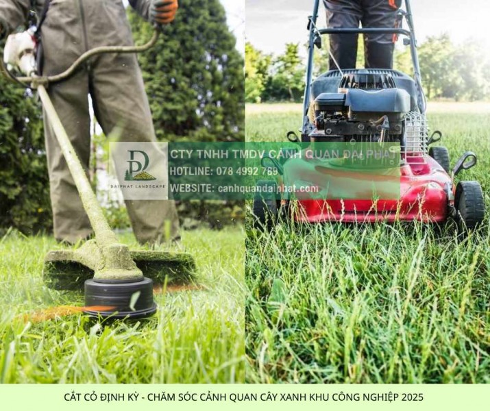 DỊCH VỤ CẮT CỎ ĐỒNG NAI GIÁ TỐT – NHẬN CẮT CỎ NHÀ MÁY, KCN