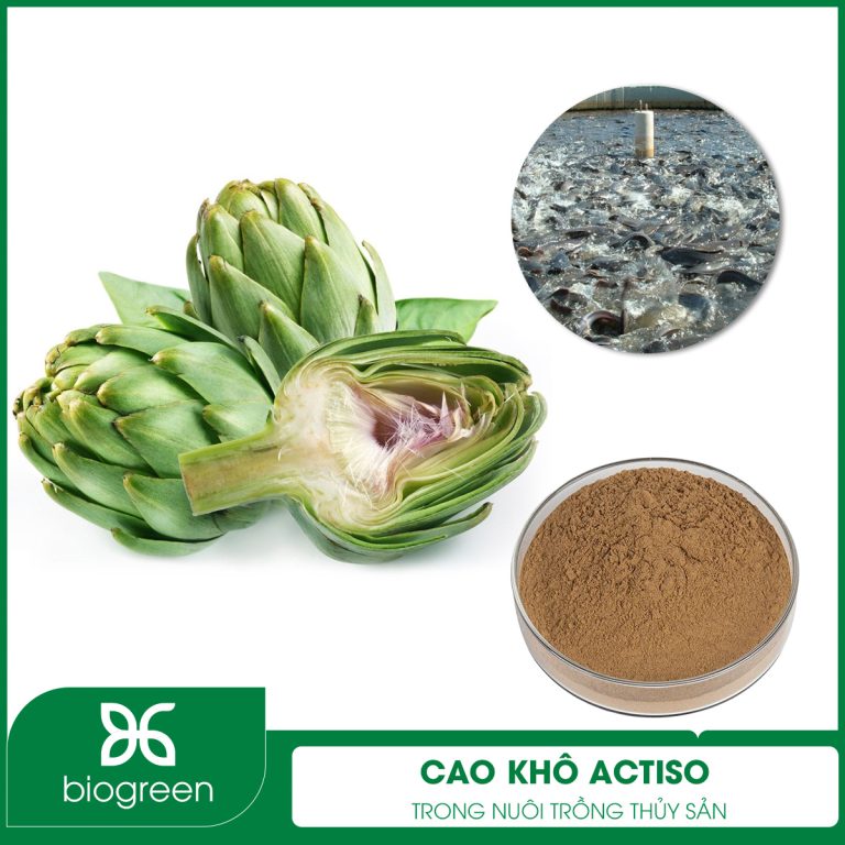 Bán Cao khô Actiso kháng viêm, bổ gan cho tôm cá
