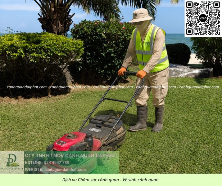 DỊCH VỤ CHĂM SÓC CÂY XANH TRỌN GÓI ĐỒNG NAI – CHUYÊN NGHIỆP, UY TÍN