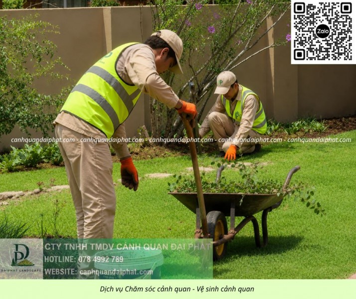 DỊCH VỤ CHĂM SÓC CÂY XANH TRỌN GÓI ĐỒNG NAI – CHUYÊN NGHIỆP, UY TÍN