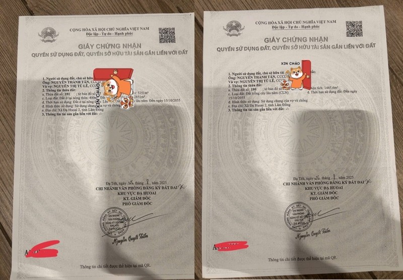 ĐẤT ĐẸP - GIÁ TỐT CHÍNH CHỦ CẦN BÁN 2 LÔ  VỊ TRÍ ĐẮC ĐỊA TẠI Xã Phước Lộc ĐạHoai  , Lâm Đồng