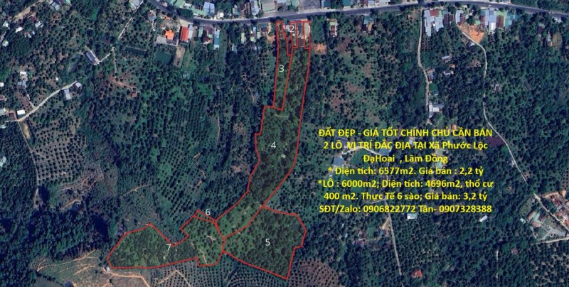 ĐẤT ĐẸP - GIÁ TỐT CHÍNH CHỦ CẦN BÁN 2 LÔ  VỊ TRÍ ĐẮC ĐỊA TẠI Xã Phước Lộc ĐạHoai  , Lâm Đồng