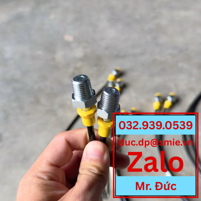 Dây kiểm tra áp lực dn2 dicsa-dây kiểm tra áp suất dn2 dicsa, dây kiểm tra áp lực dn2