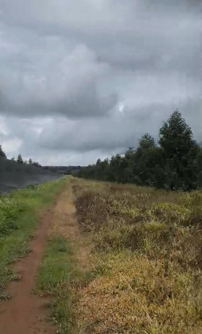 10ha sầu riêng thái năm 4 - Đắk Đoa, Gia Lai - 2.000 cây, đất đỏ bằng phẳng - giá 40 tỷ