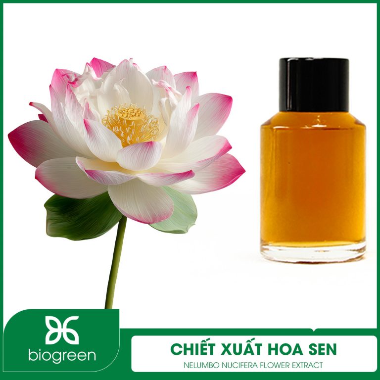 CHIẾT XUẤT HOA SEN HỒNG BIOGREEN - NGUYÊN LIỆU MỸ PHẨM LÀM DỊU DA, CHỐNG LÃO HOÁ DA