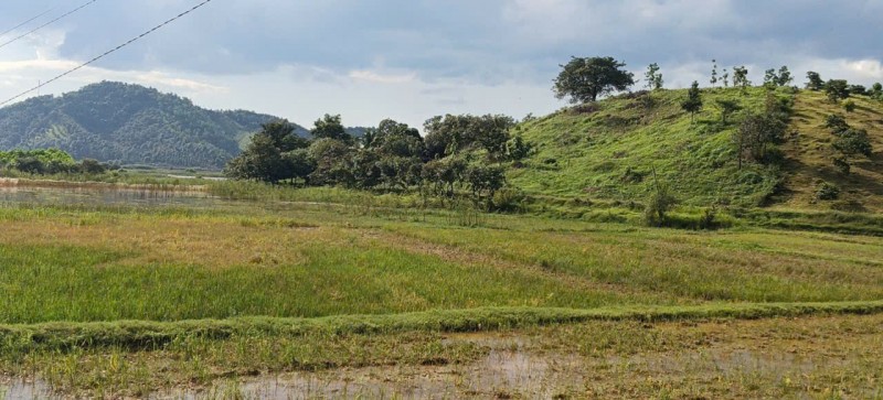 CHÍNH CHỦ CẦN BÁN ĐẤT 4,6HA SỔ ĐỎ RIÊNG – CÁT TIÊN, LÂM ĐỒNG – GIÁ CHỈ 3 TỶ