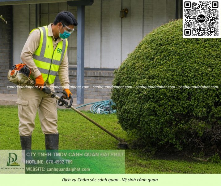 BÁO GIÁ CẮT CỎ – CHĂM SÓC CÂY XANH NHÀ XƯỞNG ĐỒNG NAI