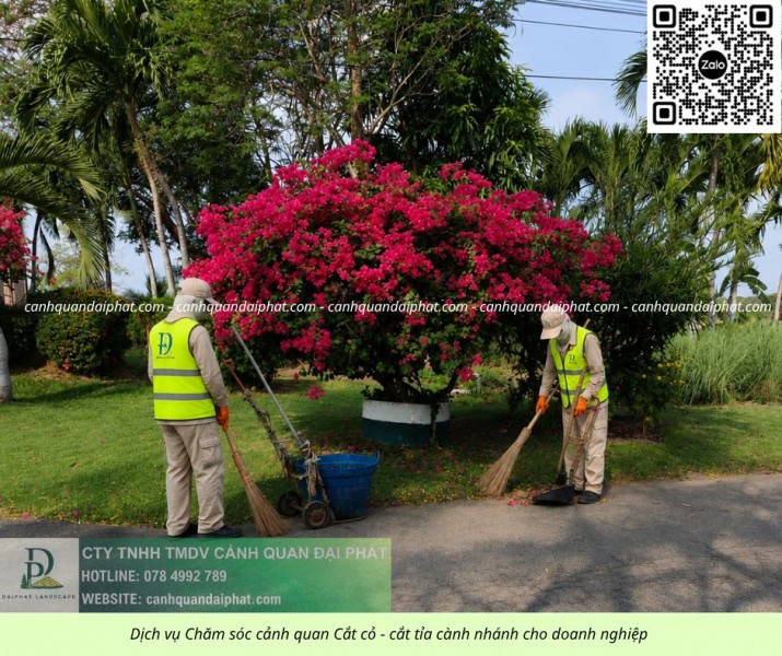 Báo Giá Cắt Cỏ Chăm Sóc Cây Xanh Bình Dương – TP.HCM