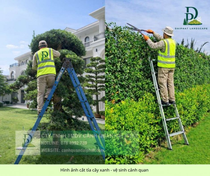 DỊCH VỤ CẮT CỎ – CHĂM SÓC CÂY XANH LỘC AN BÌNH SƠN ĐỒNG NAI