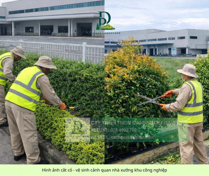 DỊCH VỤ CẮT CỎ – CHĂM SÓC CÂY XANH LỘC AN BÌNH SƠN ĐỒNG NAI