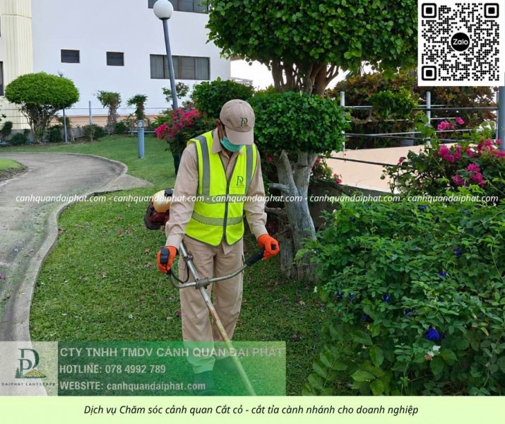 Chăm sóc cây xanh – thảm cỏ Nhơn Trạch, Đồng Nai