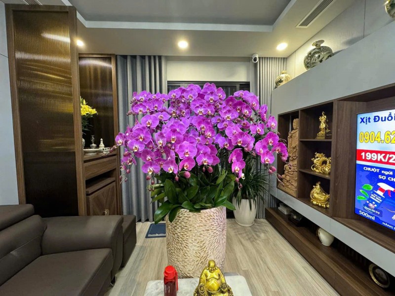 CHÍNH CHỦ BÁN CĂN D011004 – DIAMOND PALACE, 25 LÊ VĂN LƯƠNG, HÀ NỘI