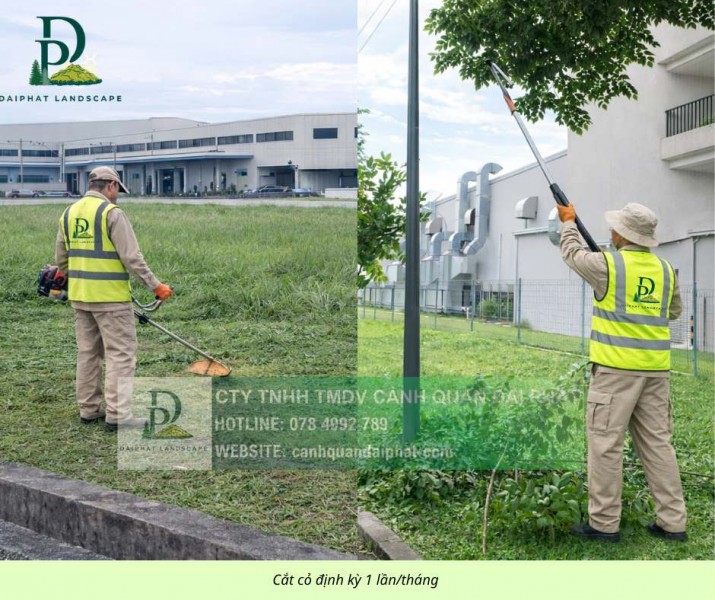Chăm sóc Cây xanh Thảm cỏ KCN Nhơn Trạch Đồng Nai