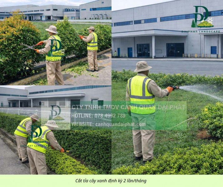 Chăm sóc Cây xanh Thảm cỏ KCN Nhơn Trạch Đồng Nai