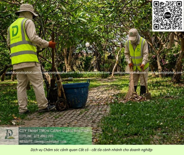 Cắt Cỏ – Cưa Cây KCN Sông Mây Đồng Nai