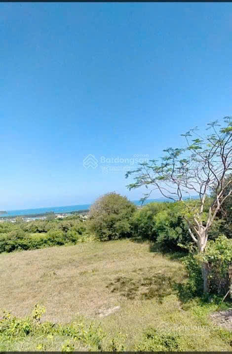 CẦN BÁN ĐẤT DIỆN TÍCH LỚN, – PHÙ HỢP HOMESTAY, NGHỈ DƯỠNG- HUYỆN TUY AN - PHÚ YÊN