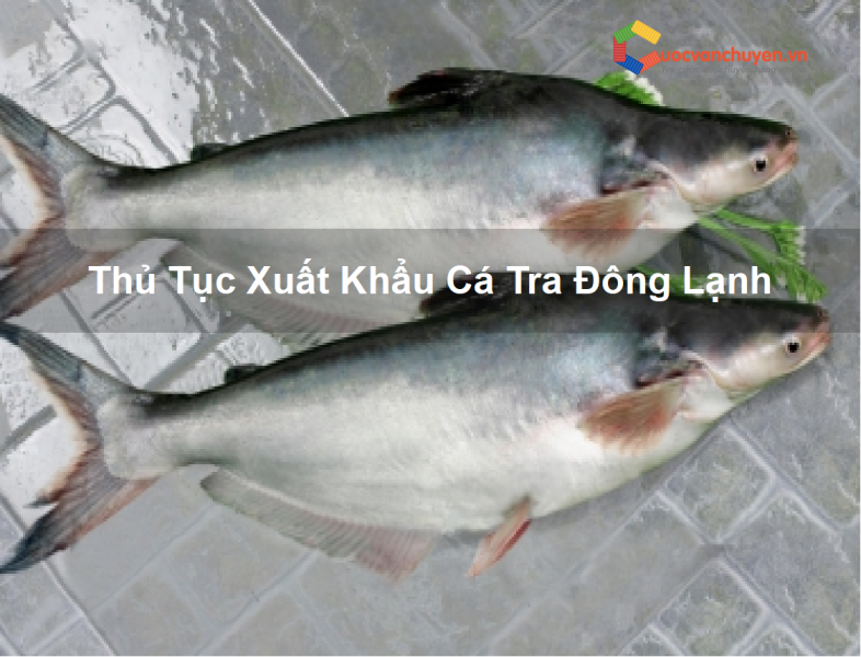 Thủ tục xuất khẩu cá tra đông lạnh
