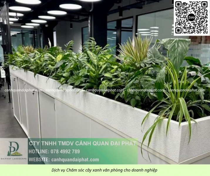 Dịch vụ Chăm sóc cây xanh Văn phòng Đồng Nai