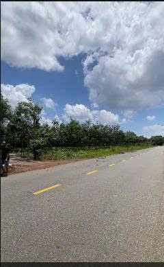 CHO THUÊ ĐẤT DT-746, XÃ THƯỜNG TÂN, BẮC TÂN UYÊN, TP.HCM