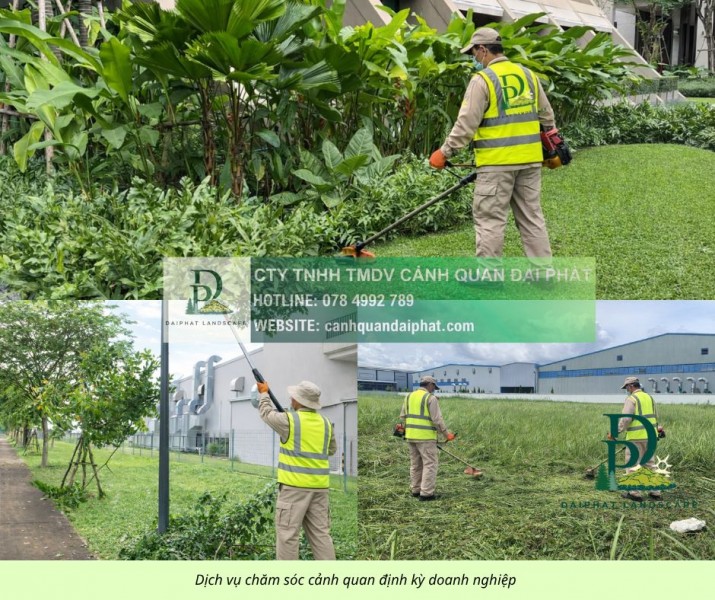 Dịch vụ cắt cỏ – chăm sóc cây xanh KCN Linh Trung, TP.HCM