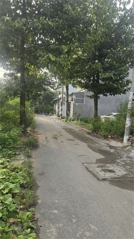 NHÀ CHÍNH CHỦ - GIÁ TỐT Số 144 Tân Xuân, Xã Tân Kim, Huyện Cần Giuộc, Long An
