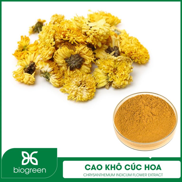 CAO KHÔ CÚC HOA - NGUYÊN LIỆU SẢN XUẤT THỰC PHẨM CHỨC NĂNG ĐIỀU HOÀ HUYẾT ÁP, AN THẦN.