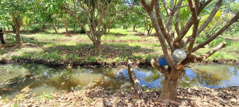 ĐẤT ĐẸP – GIÁ TỐT - CẦN BÁN NHANH LÔ ĐẤT TẠI Đường Hương Lộ 62, Xã Diên Thọ,  Diên Khánh, Khánh Hòa