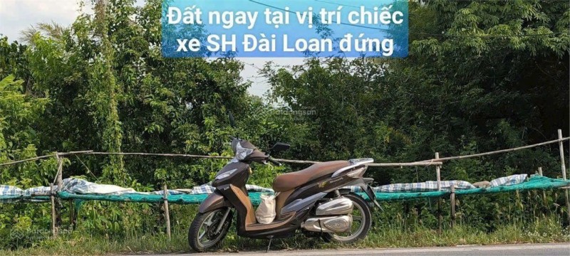 BÁN ĐẤT MẶT TIỀN QL N2 GẦN CHỢ ĐƯỜNG THÉT – Quốc lộ N2, Xã Mỹ Quý, Huyện Tháp Mười, Đồng Tháp
