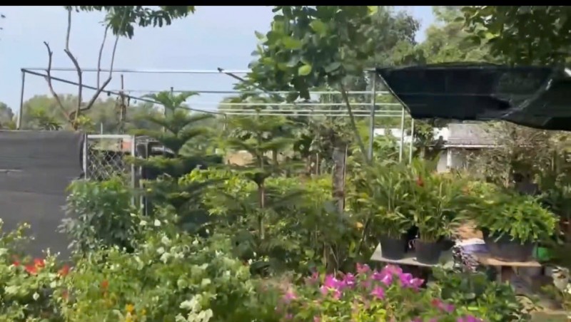 29 TỶ SỞ HỮU ĐẤT MẶT TIỀN VŨNG TÀU GẦN 1000M2 SỐ HỒNG RIÊNG
