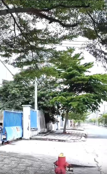 Nhà xưởng quy mô lớn 5.000m2 - KCN Tân Đô, Đức Hòa, Tây Ninh - 2 cổng,  sổ hồng riêng