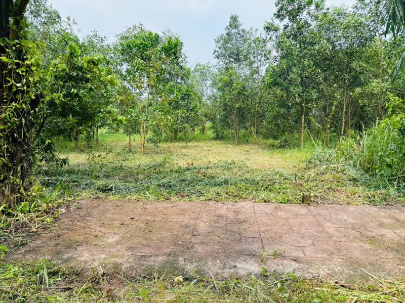CẦN BÁN LÔ ĐẤT 100M² TẠI XÃ AN VIỄN – TP. ĐỒNG NAI