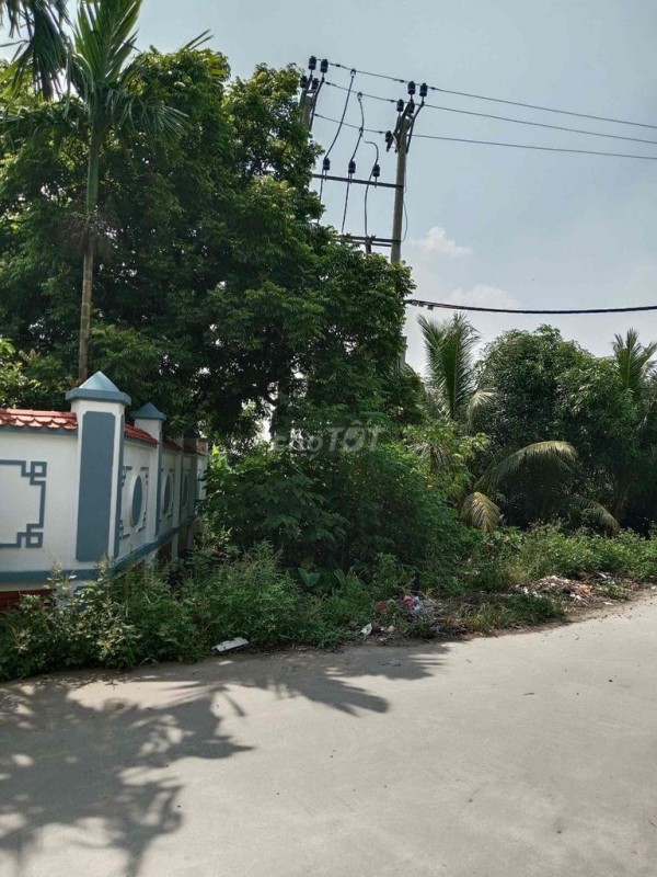 Cho thuê đất làm xưởng ở Xã Chương Dương, Huyện Thường Tín, Hà Nội
