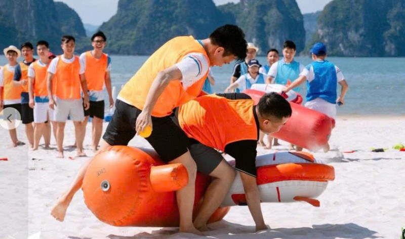 Ngựa chiến ngựa bơm hơi  Cho thuê ngựa chiến