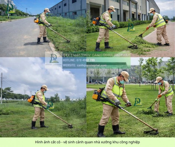 Dịch vụ cắt cỏ – cưa cây – chăm sóc cảnh quan Long Thành, Đồng Nai