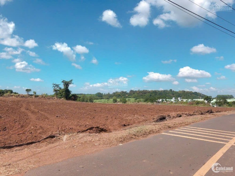 NHÀ CẤP 4 100M² – GIÁ 1,6 TỶ – LA NGÀ, ĐỒNG NAI