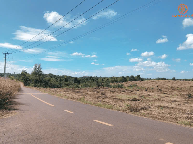 BÁN 1,1HA ĐẤT VƯỜN – SẴN SẦU RIÊNG 6 TUỔI & BƠ – GIÁ 22 TỶ