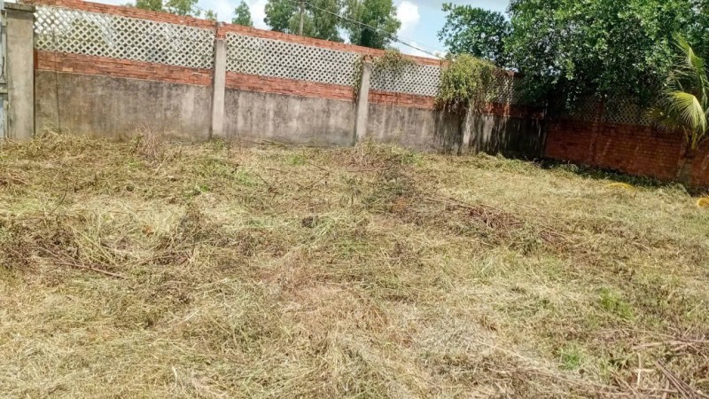 ĐẦU TƯ SINH LỜI – CẦN BÁN GẦN 1.000M² LÔ ĐẤT VƯỜN, Đ. Tam Đa, P. Long Phước, Q.9, TP.HCM