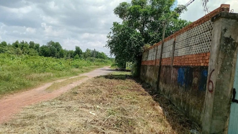 ĐẦU TƯ SINH LỜI – CẦN BÁN GẦN 1.000M² LÔ ĐẤT VƯỜN, Đ. Tam Đa, P. Long Phước, Q.9, TP.HCM